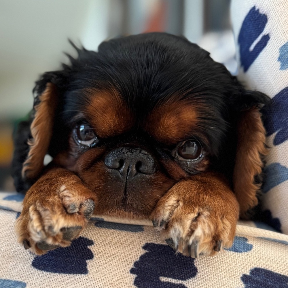 Meet your Posher, Natalia